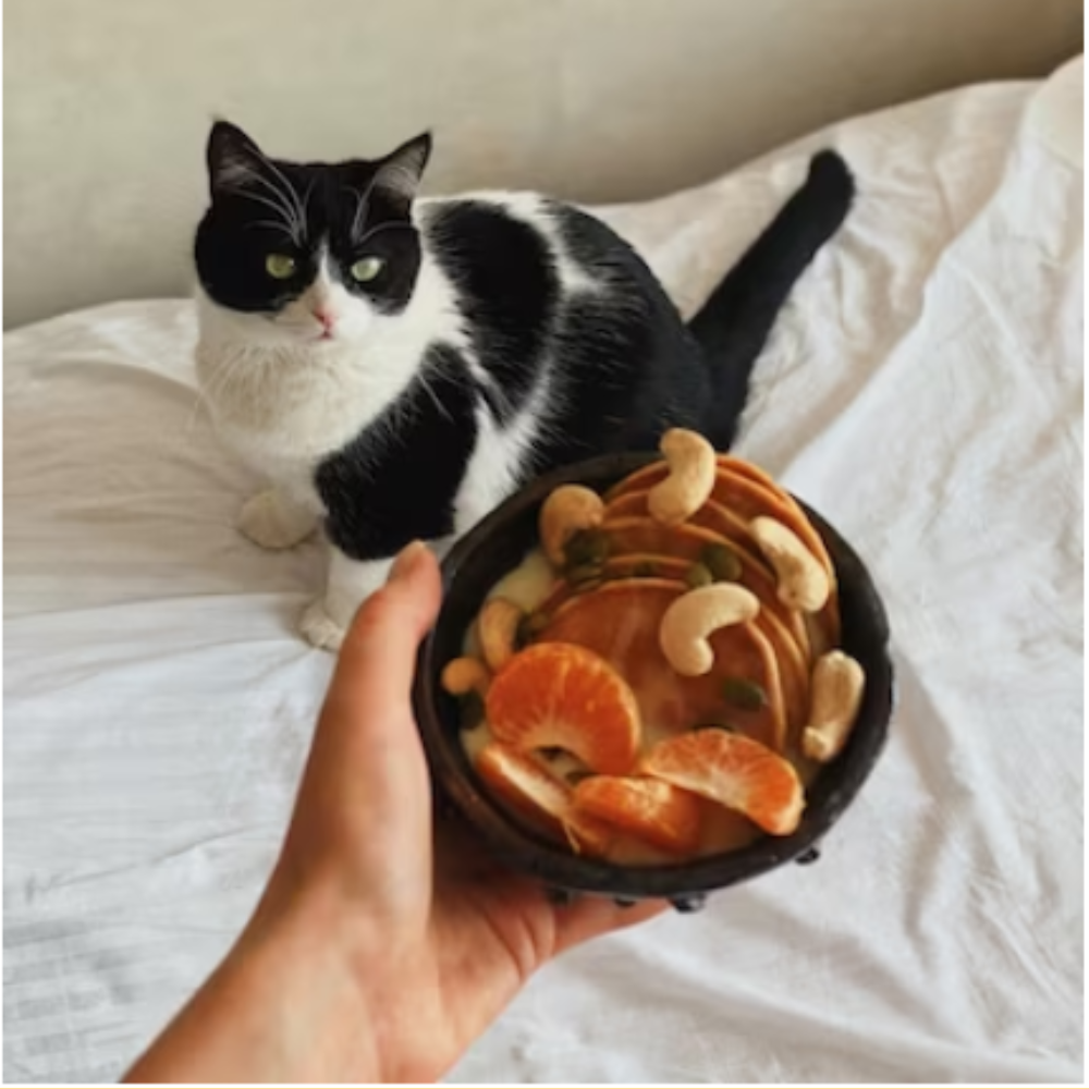 FOOD YOUR CAT SHOULDN’T EAT