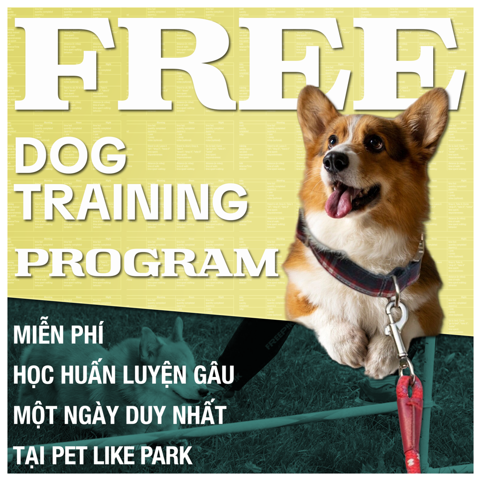 DOG TRAINING WORKSHOP