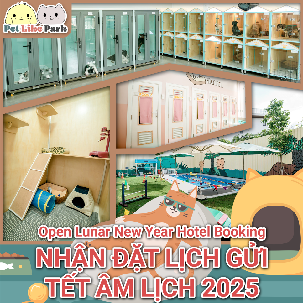 OPEN FOR LUNAR NEW YEAR 2025 PET BOOKINGS – PERFECT CARE WHILE YOU’RE AWAY! 