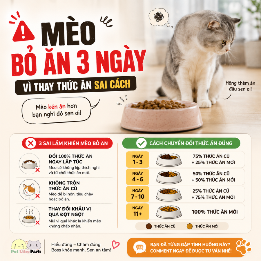Thức ăn cho mèo: Cách chọn đúng giúp mèo khỏe mạnh